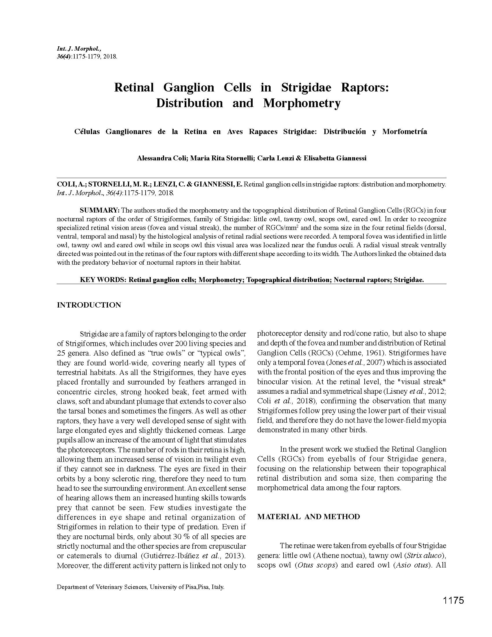 _Studio della retina di alcuni Strigiformi (gufo_, civetta, allocco e assiolo)_Pagina_1