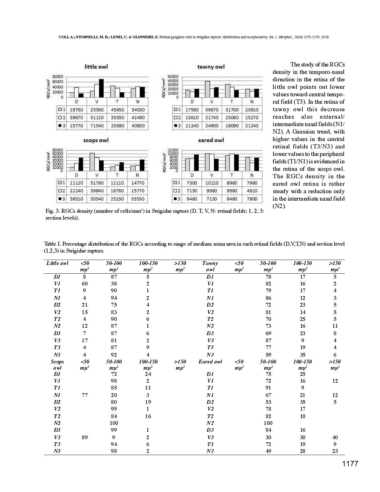 _Studio della retina di alcuni Strigiformi (gufo_, civetta, allocco e assiolo)_Pagina_3