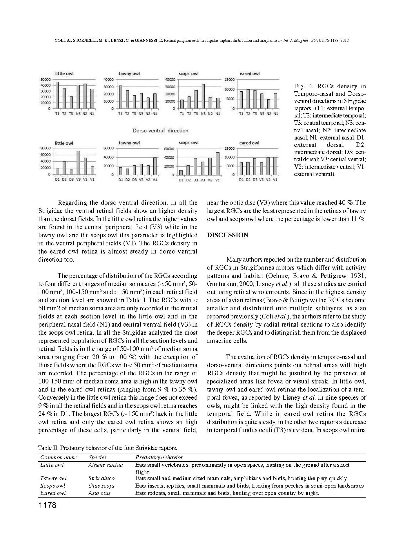 _Studio della retina di alcuni Strigiformi (gufo_, civetta, allocco e assiolo)_Pagina_4