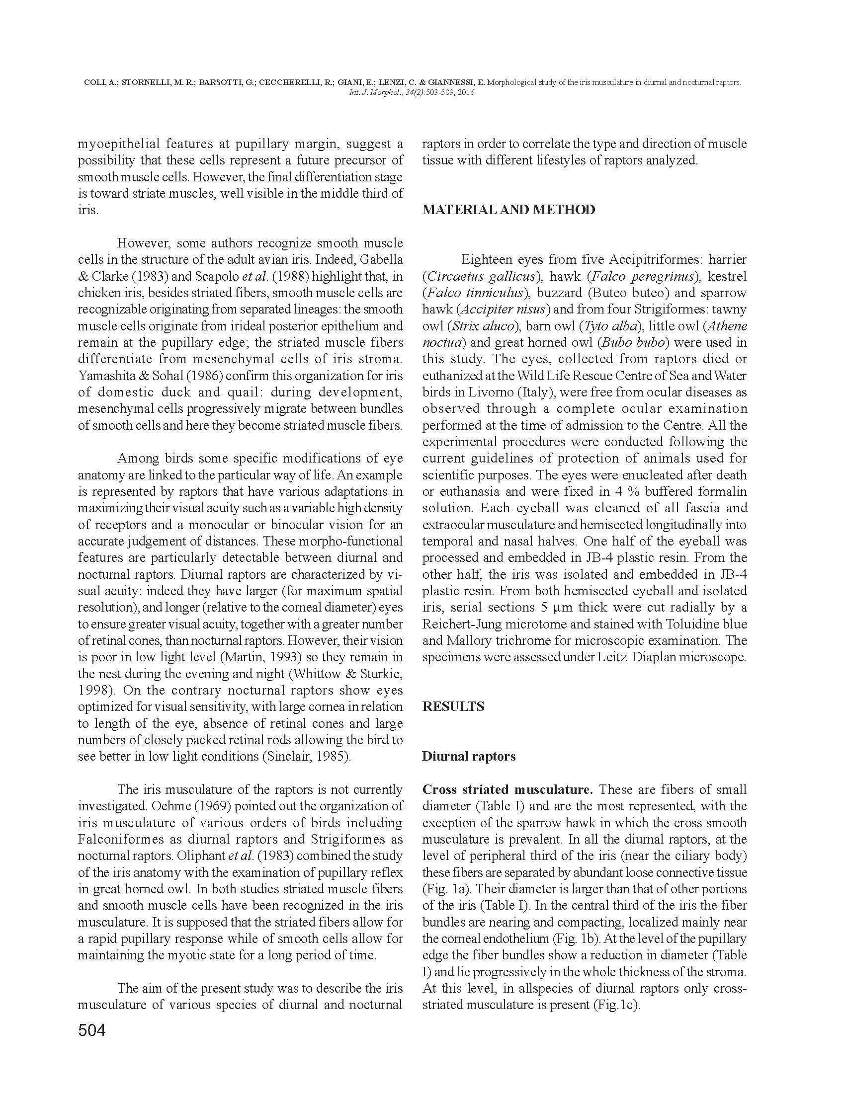 Studio dell'iride nei rapaci notturni e diurni_Pagina_2