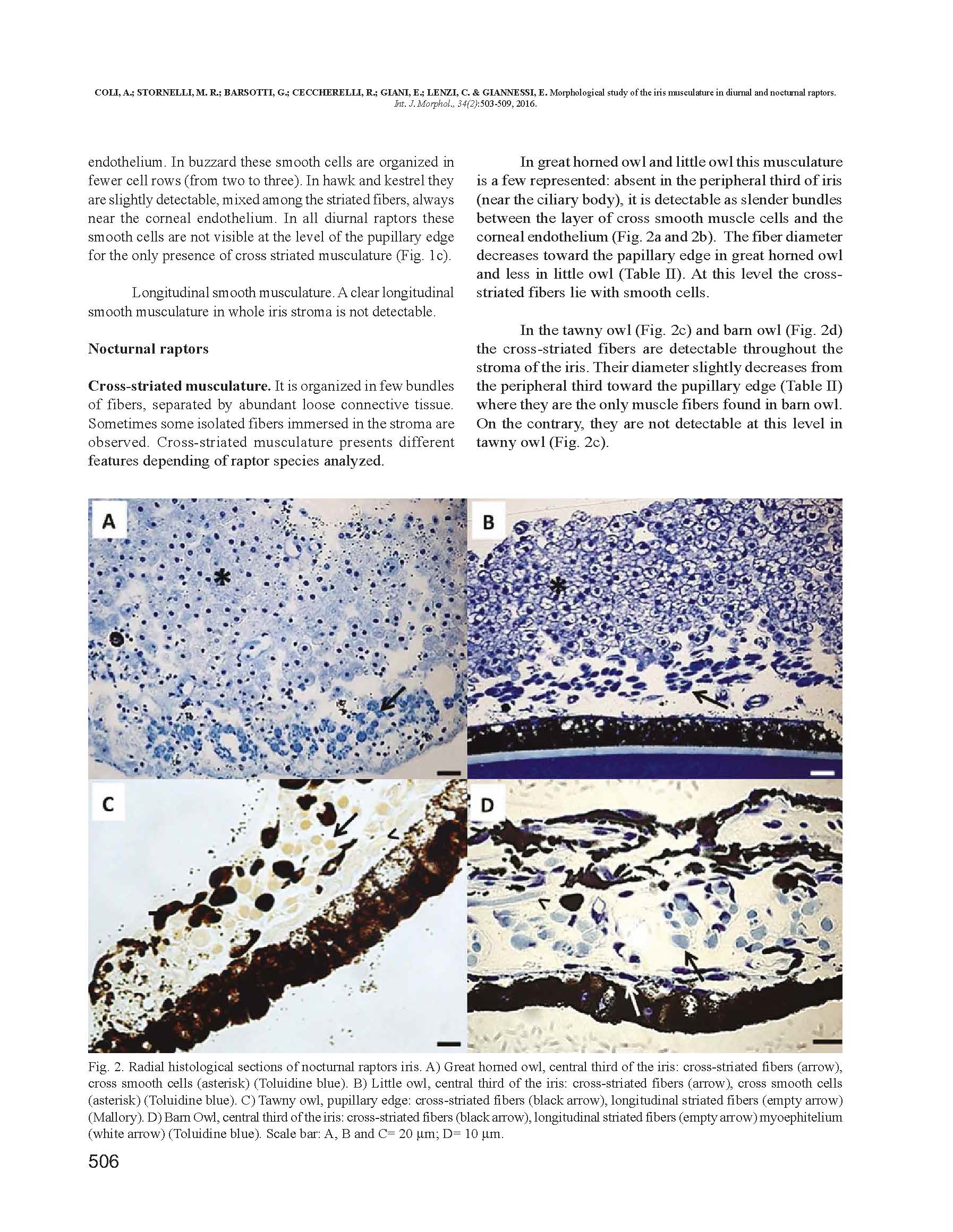 Studio dell'iride nei rapaci notturni e diurni_Pagina_4