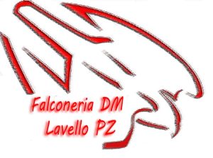 WhatsApp Image 2022-09-17 at 21.07.20